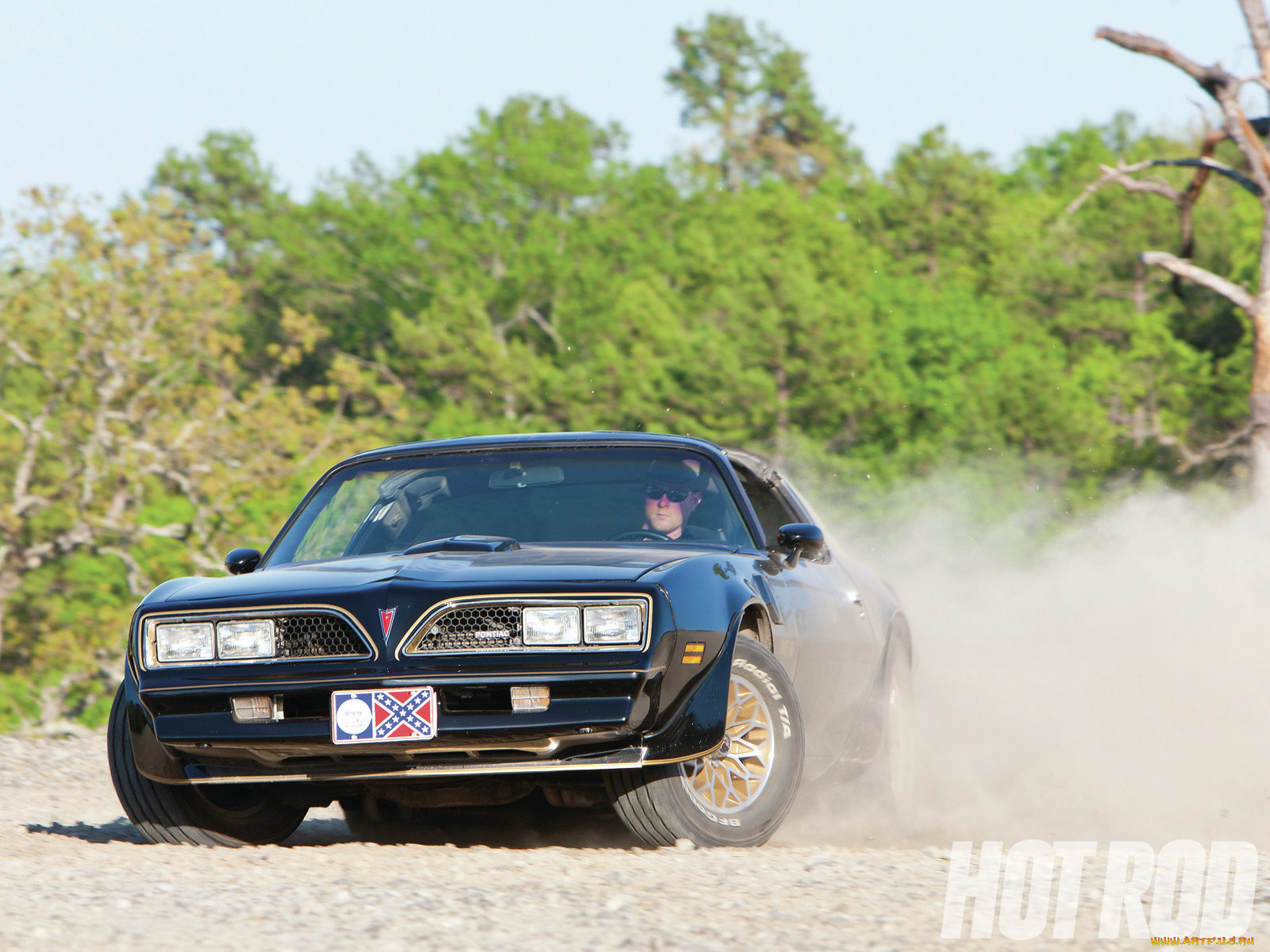 bandit, , pontiac